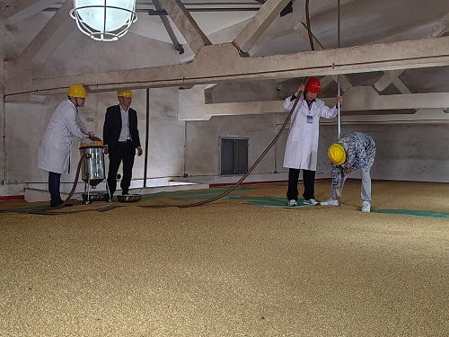 县公共检验检测中心开展储备粮检测守牢粮食质量安全关