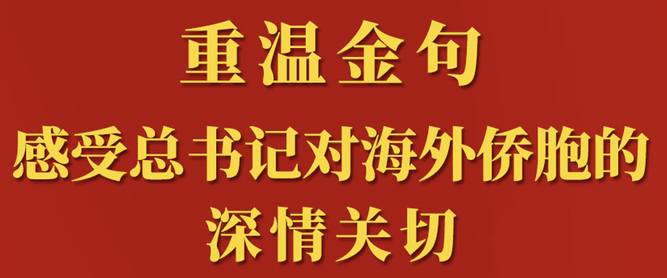 重温金句，感受总书记对海外侨胞的深情关切
