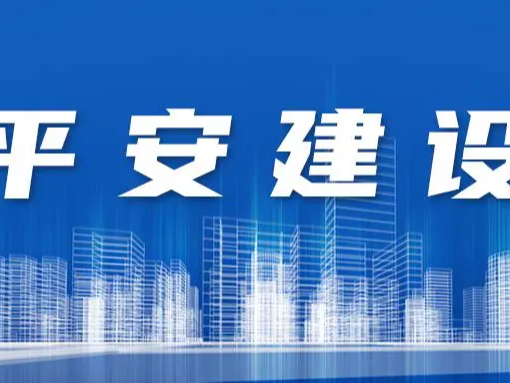 大庙乡“两代表一委员”聚力推动平安建设工作