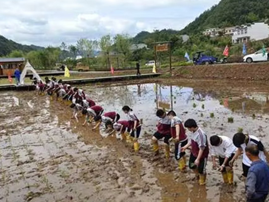 竹山二中开展“乡村最美丽 劳动最光荣”素质拓展活动