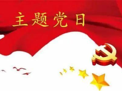 陈建平参加县委办公室、县委政研室党支部主题党日活动