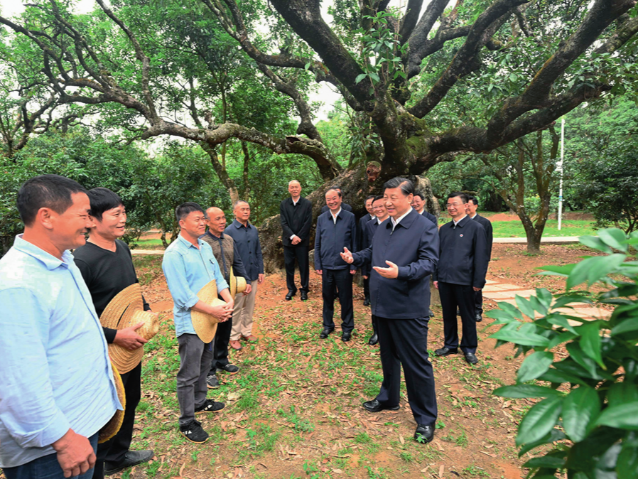 瞭望丨习近平总书记的实践观
