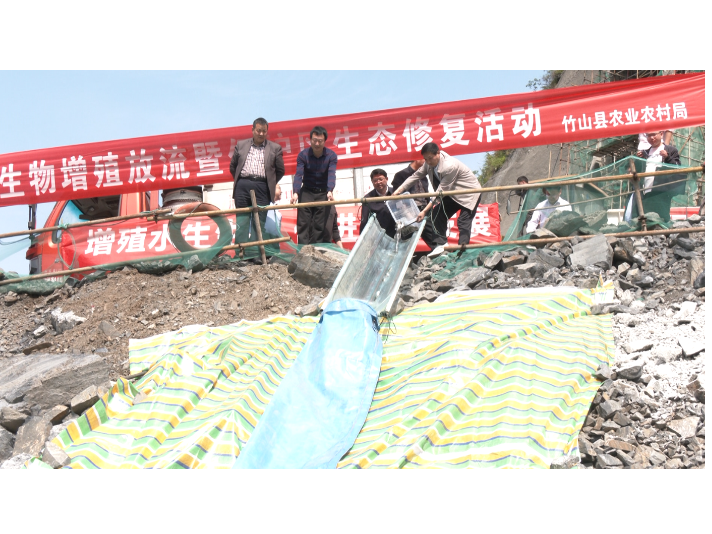 21万尾鱼苗安家竹山圣水湖