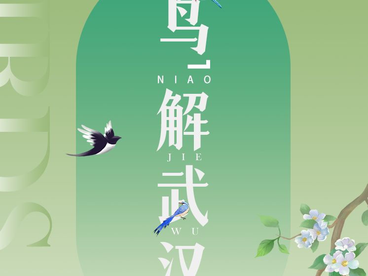 生物多样性之美 | “鸟”解武汉