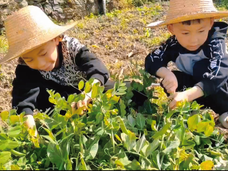 恒升小学：劳动勤于手   幸福践于行
