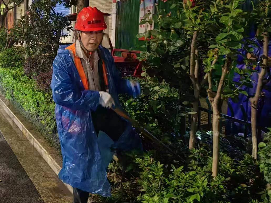 縣園林路燈局：實施“增綠提質(zhì)”扮靚城市顏值