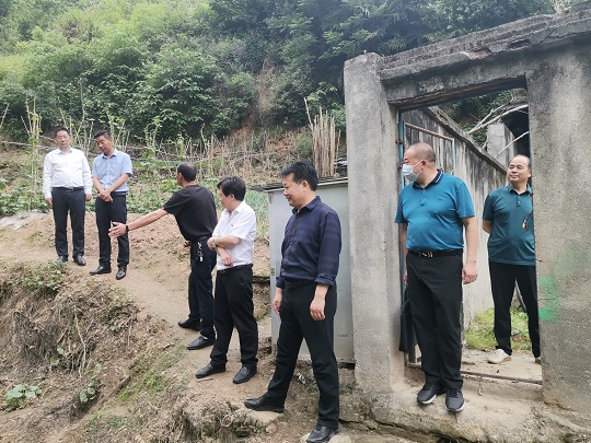 县教育局领导深入楼台乡中小学调研工作