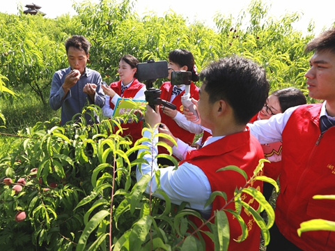 湖北交投宝丰管理所助农卖桃服务乡村振兴
