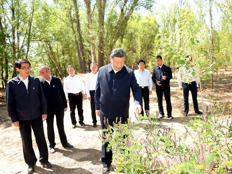 学习进行时丨构筑“万里绿色长城”，总书记念兹在兹