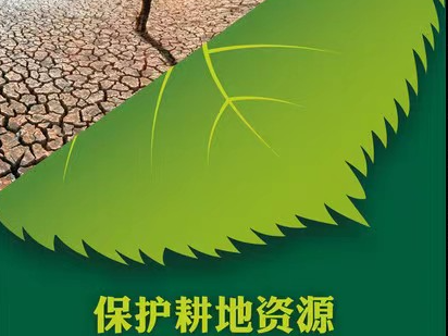 柳林乡全力推进耕地流出问题整改工作