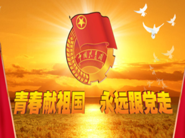 团县委传达学习中国共产主义青年团第十九次全国代表大会精神