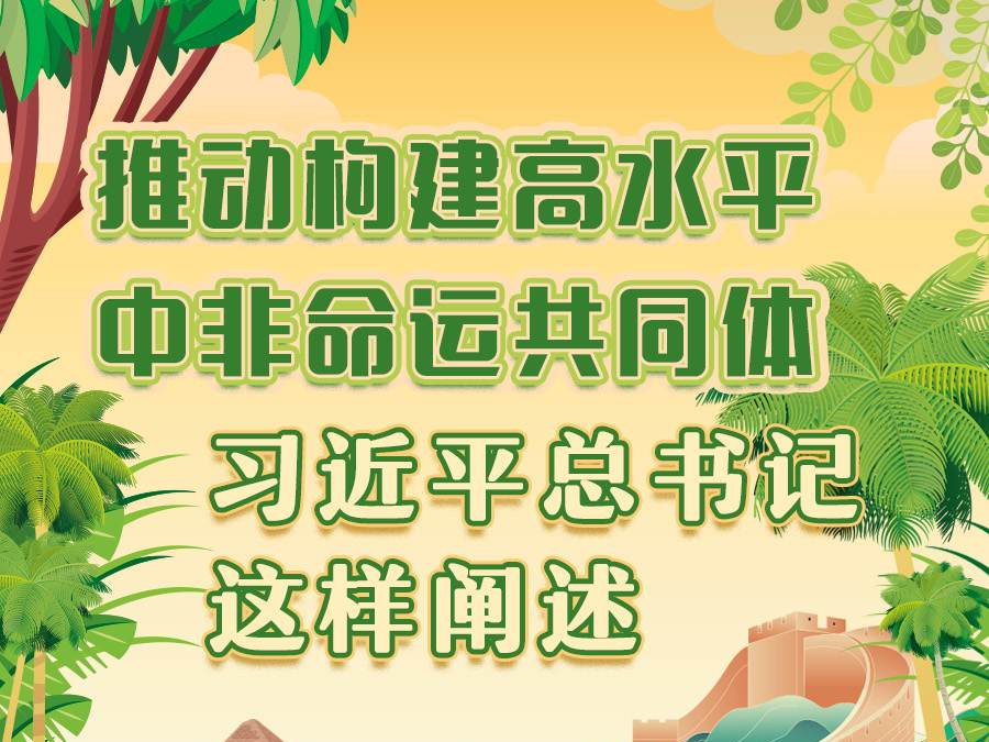 学习进行时丨推动构建高水平中非命运共同体，习近平总书记这样阐述