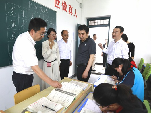 市创文办充分肯定施洋小学乡村复兴少年宫建设工作