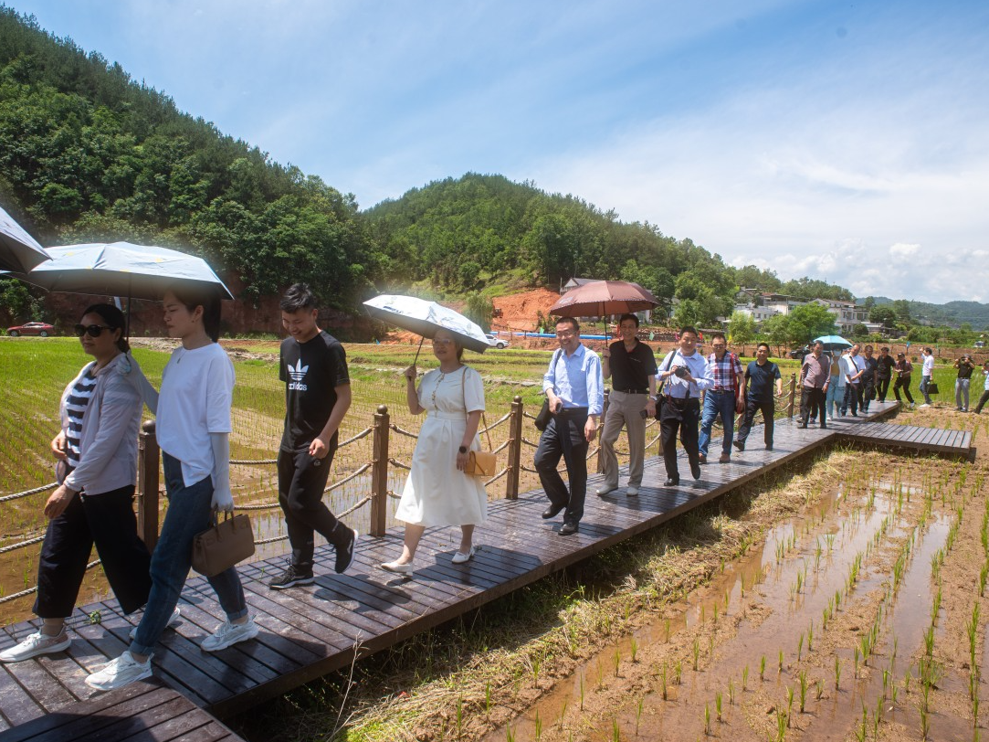 我县举行乡村振兴文艺人才培训暨采风活动