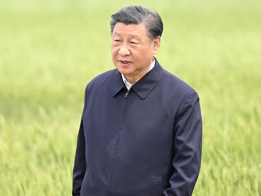时政微观察丨像保护大熊猫一样保护耕地