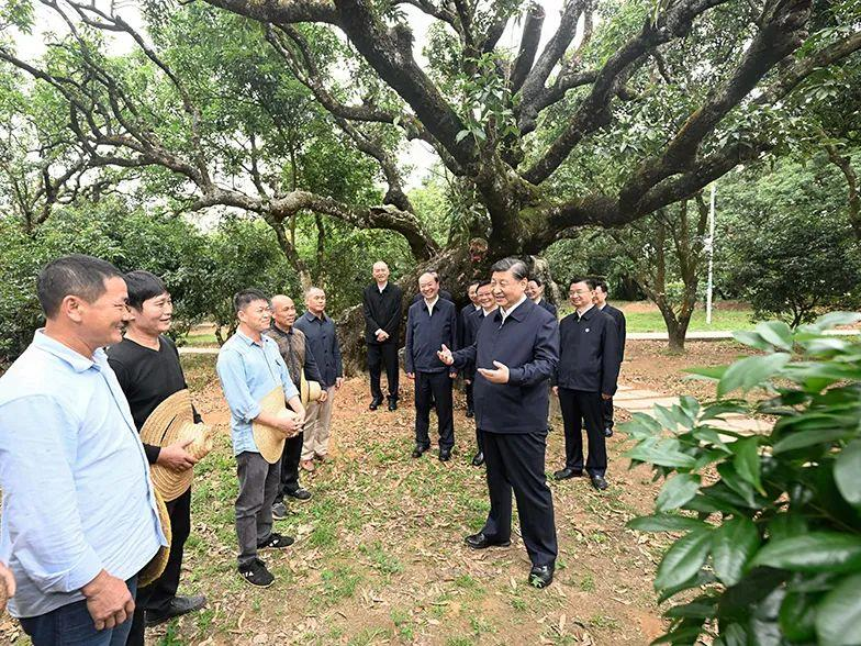 时政微观察｜跟着总书记学调查研究·求“效”
