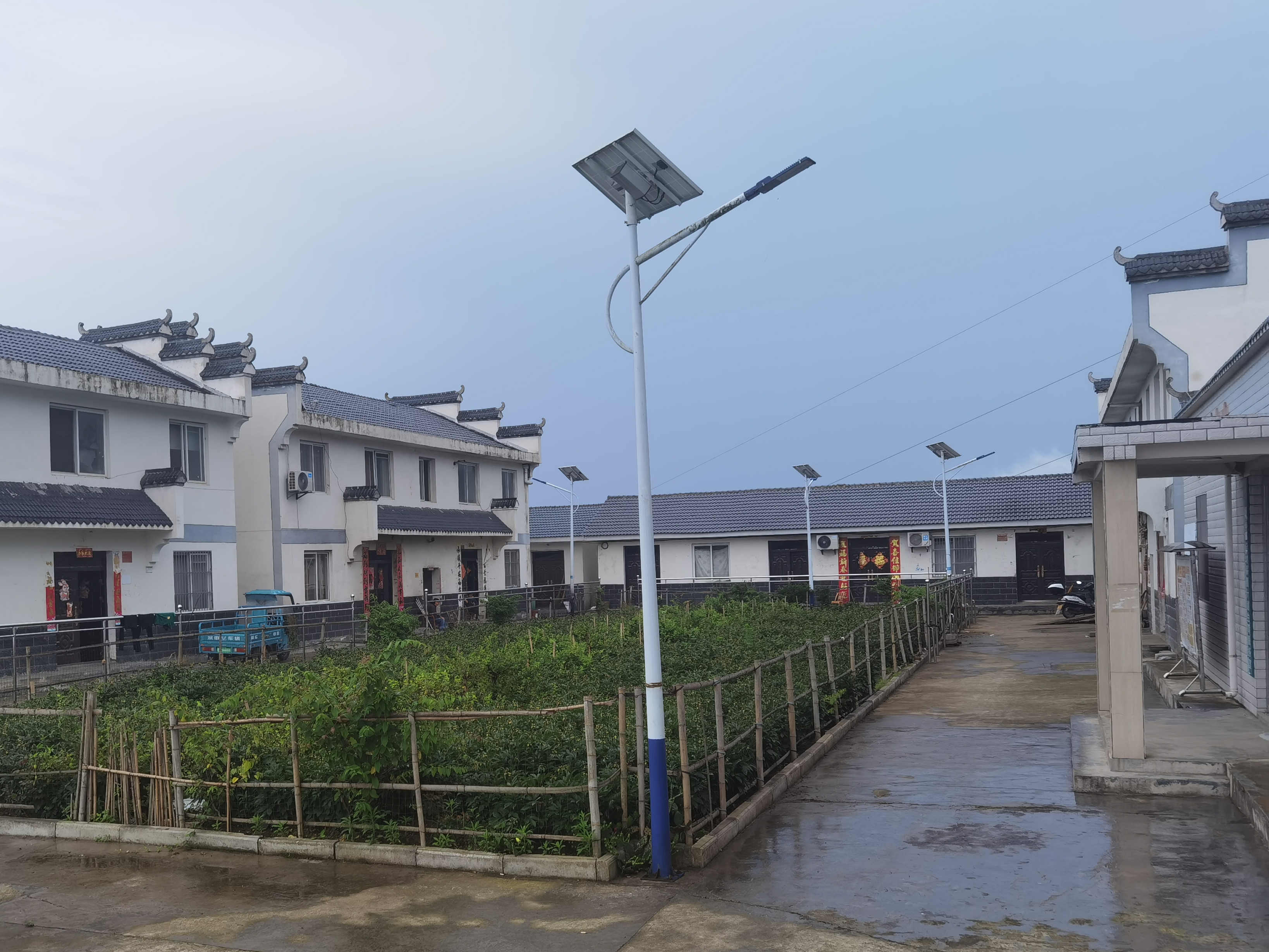 溢水镇：开展农村人居环境整治大评比