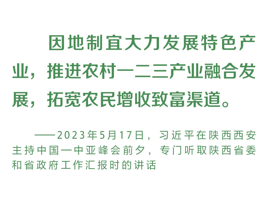 乡村之美｜促进农民农村共同富裕