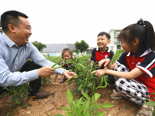 菜滿園、果飄香！麻家渡鎮這所“袖珍小學”有了“幸福農場”
