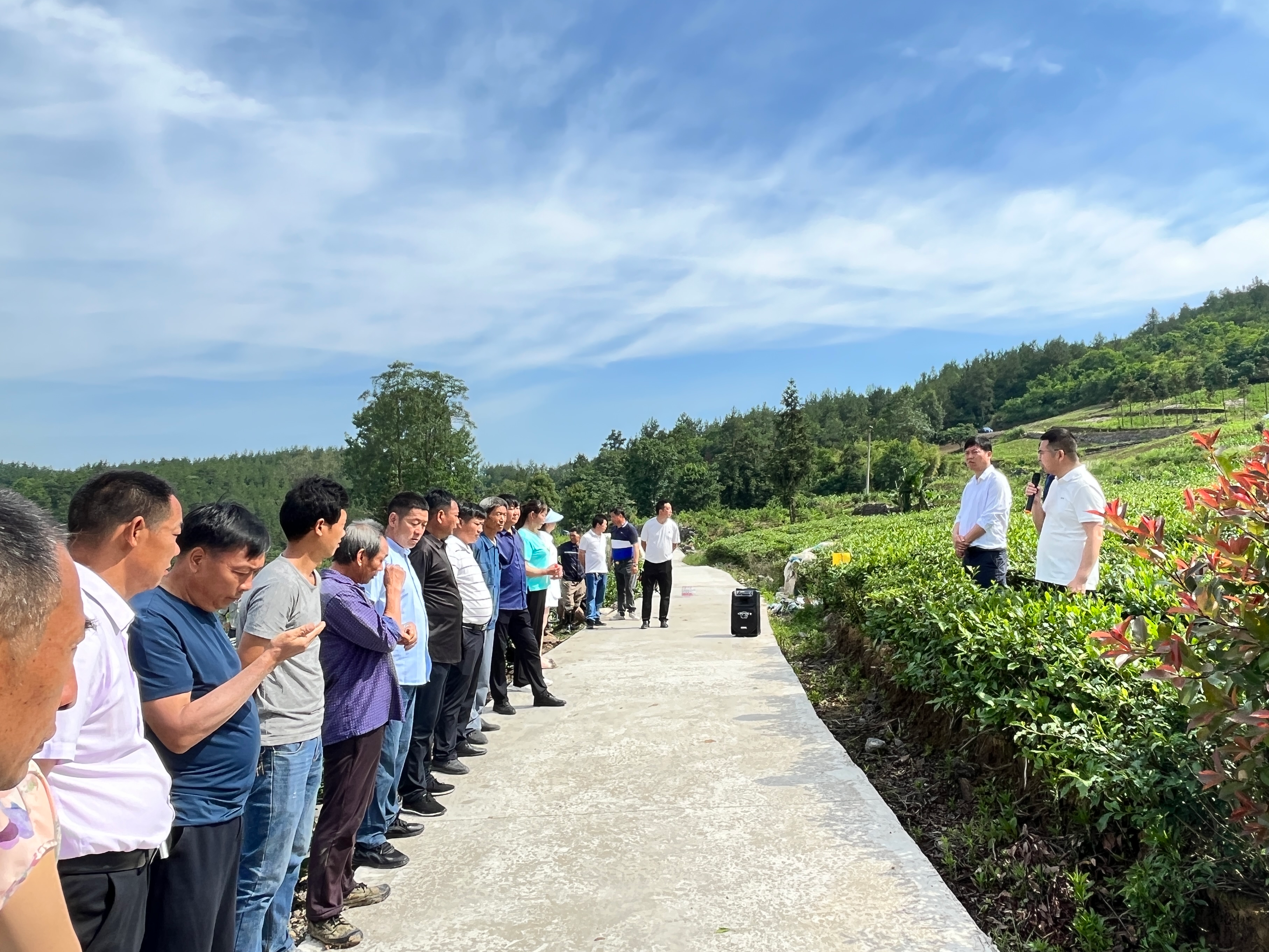 楼台乡开展红茶大叶茶现场会
