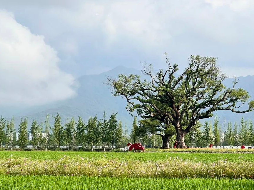 习近平的“千万”挂念