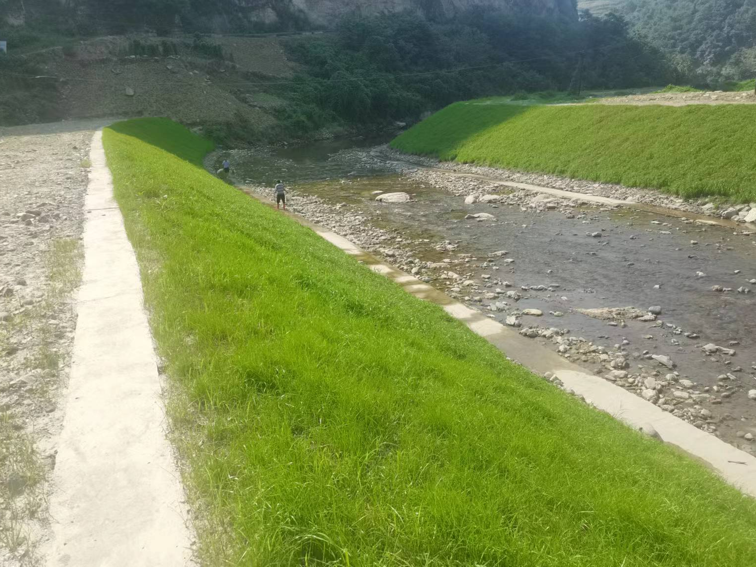 楼台乡：落实“河长制” 守护一江水