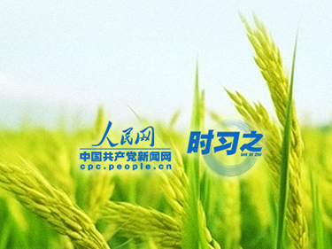 习近平反复强调：要坚决守住18亿亩耕地红线