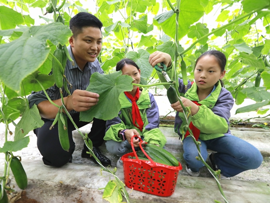 关爱留守儿童  体验采摘快乐