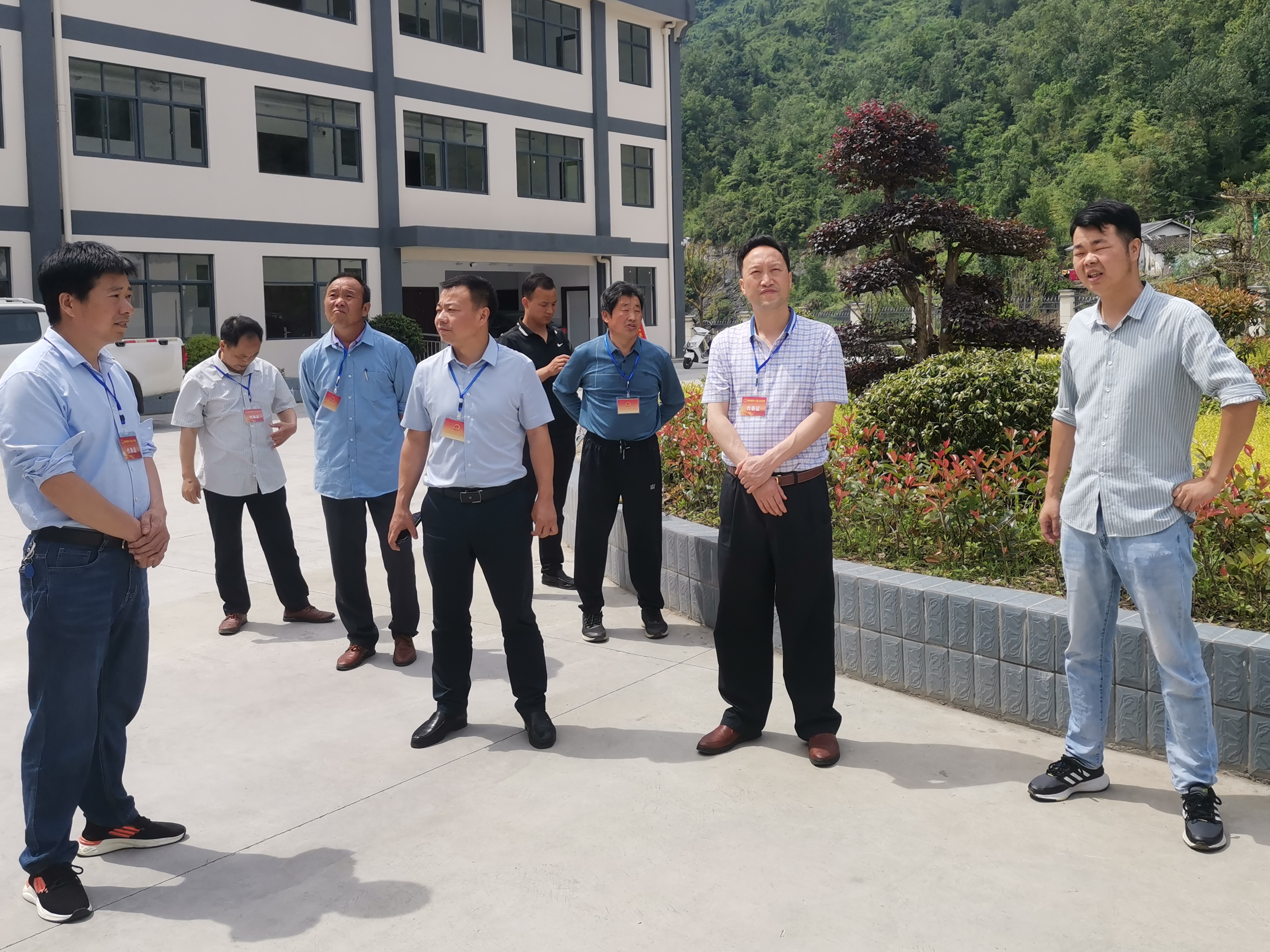 得胜镇：助力乡村建设“六件事” 人大代表在行动