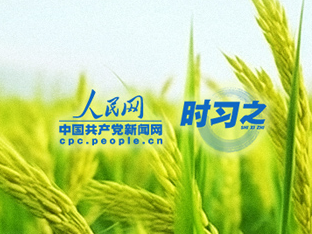 习近平反复强调：要坚决守住18亿亩耕地红线