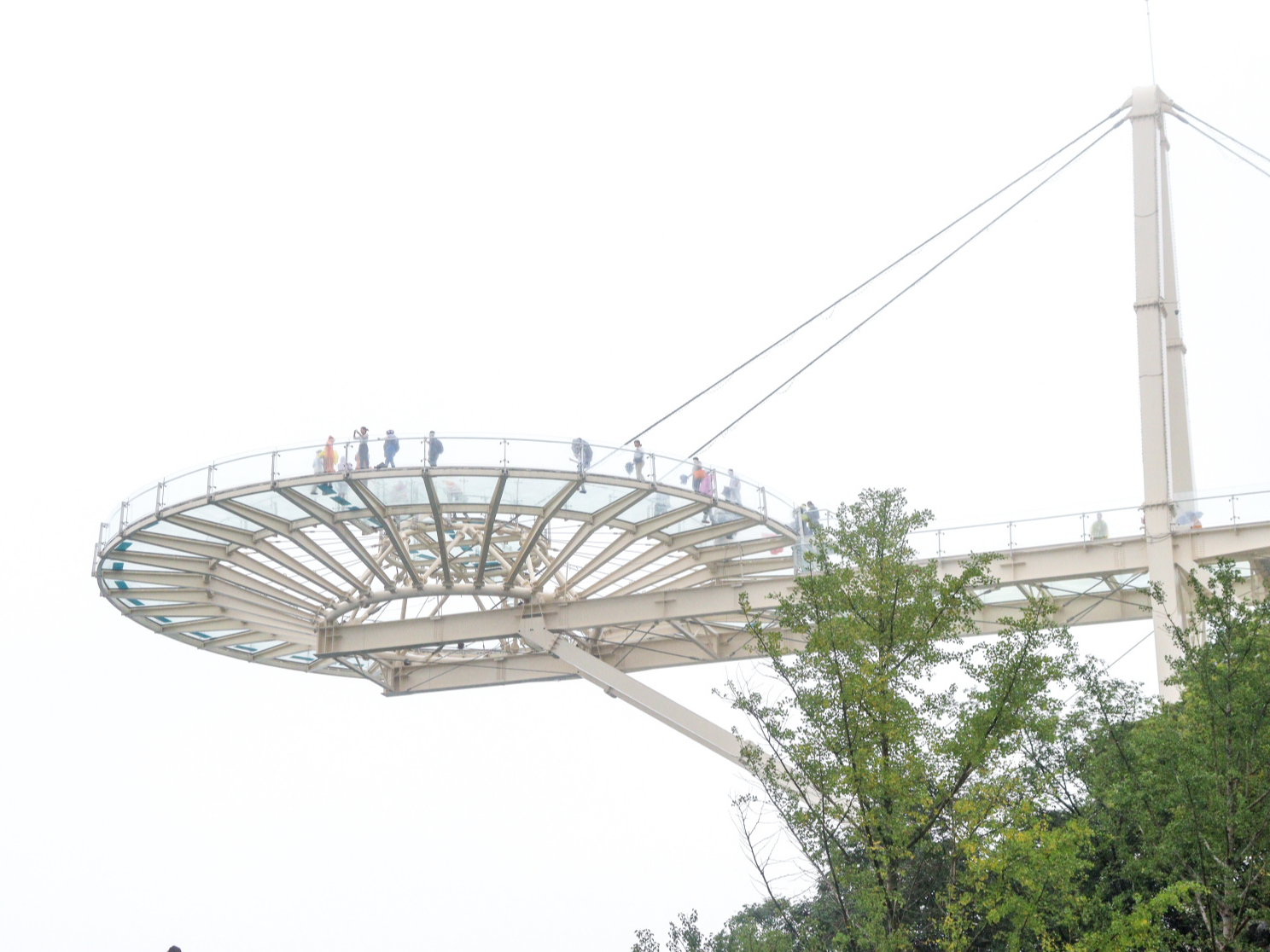 湖北阳新：打好生态旅游牌 将美景变“钱景”