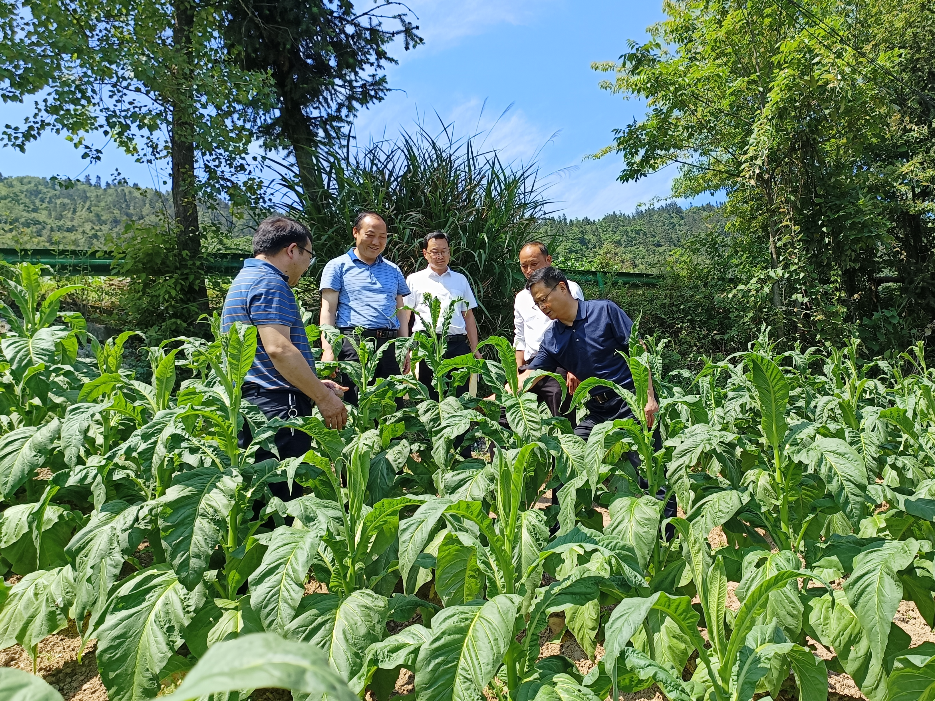 陈建平到南部乡镇调研