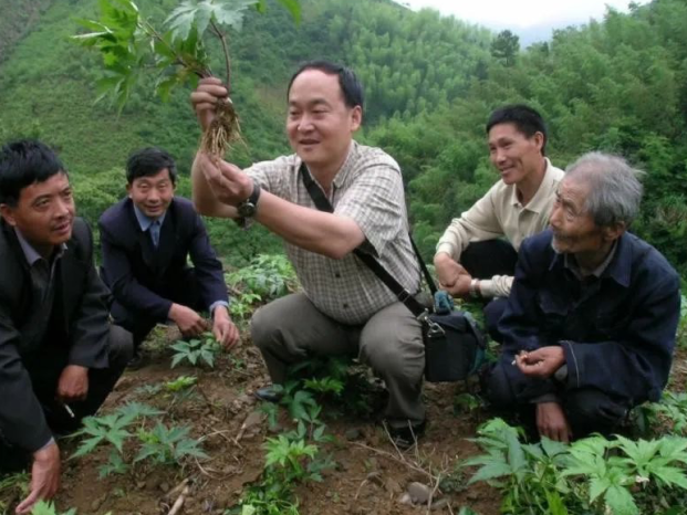 “科特派”的田野和远方