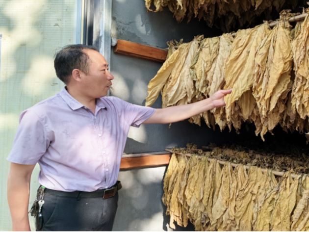 柳林乡：亲情服务  专心“备烤”
