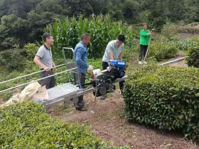 县供销社：助力茶产业发展 坛山村首条茶园轨道运输机建成