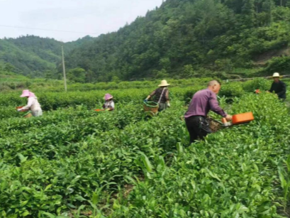 大庙乡：“四个坚持”推动能力作风建设常态长效