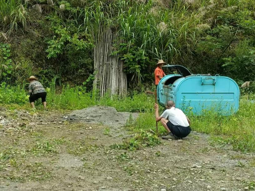 官渡镇：擦亮生态环境“底色” 共绘“和美乡村”画卷
