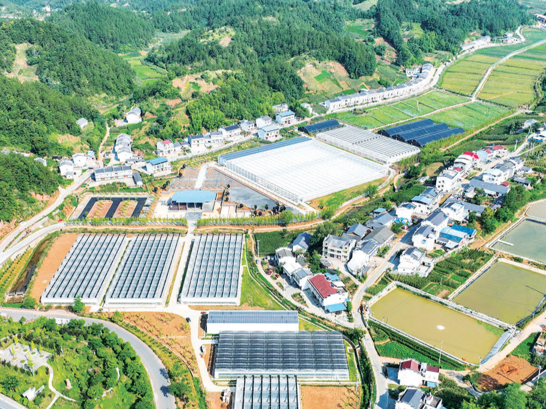 5000万元中央彩票公益金助湖北竹山建乡村振兴示范区