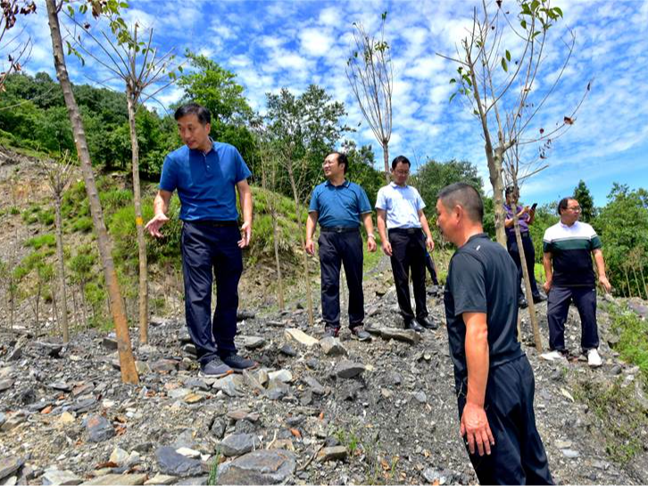 我县全力推进矿山生态修复问题整改工作