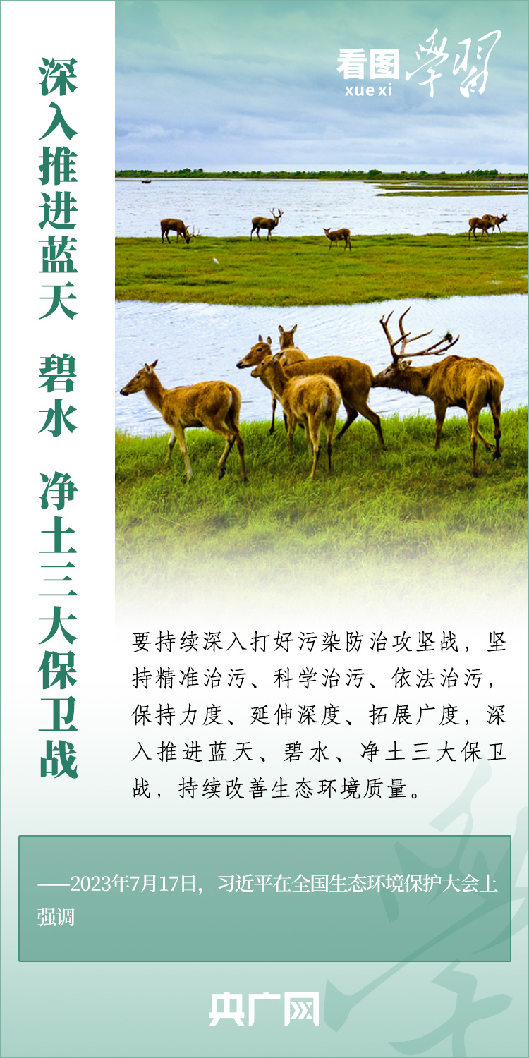 看图学习丨全面推进美丽中国建设 总书记作出系统部署