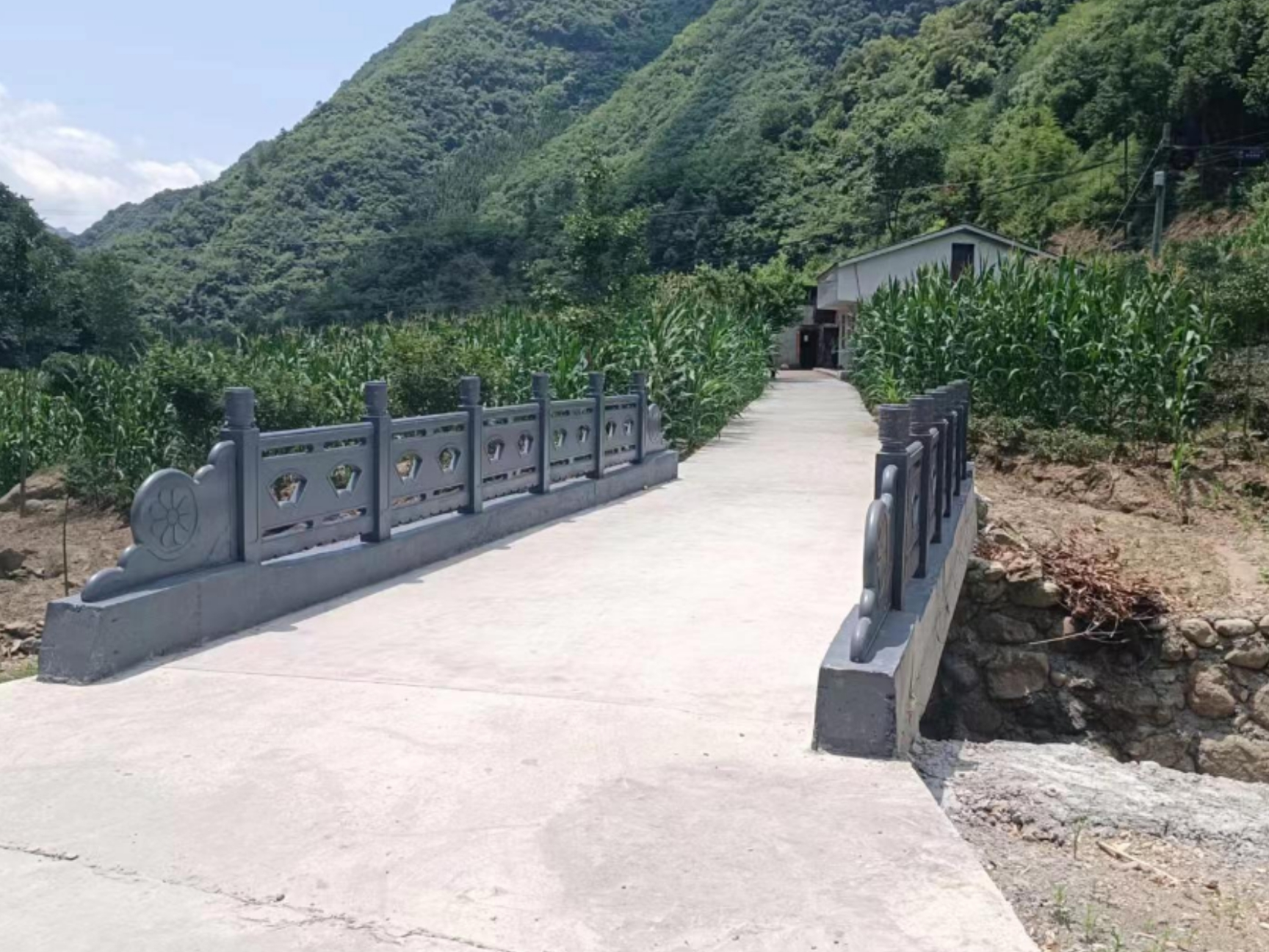 双台乡向山村：架起“连心桥”铺好“幸福路”