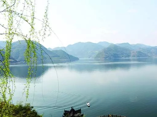 陈建平：提高政治站位 坚持问题导向 从严整改落实