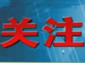 2023中非创新合作与发展论坛暨湖北国际技术交流会开幕