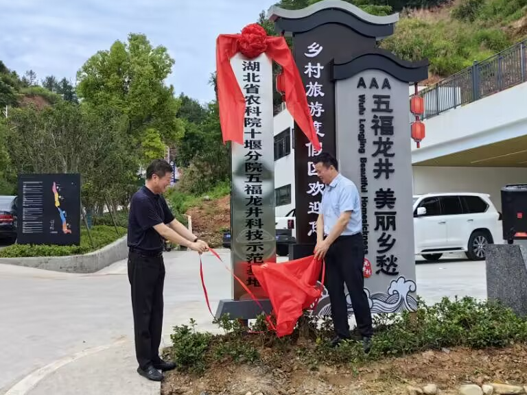 宝丰镇：五福龙井科技示范基地签约仪式隆重举行