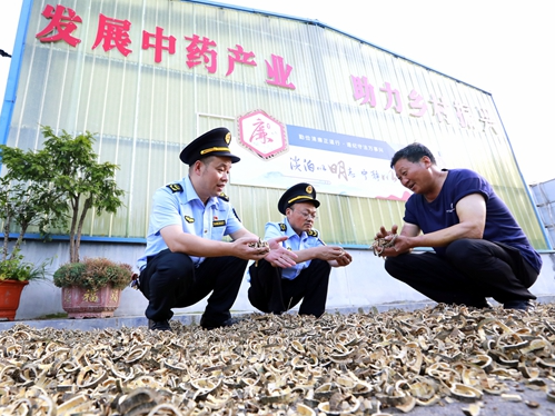 柳林市场监管所优化营商环境促进中药材产业提质增效