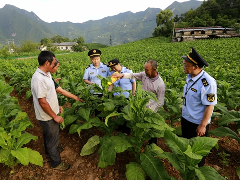 县市场监管局为烟叶产业保驾护航