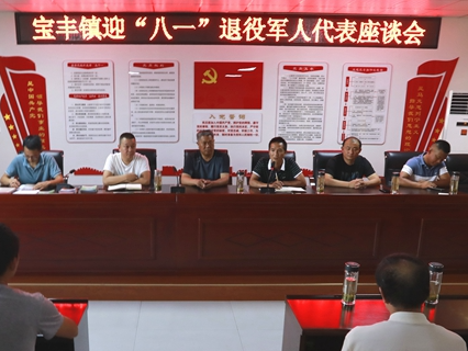 宝丰镇多举措关心关爱退役军人