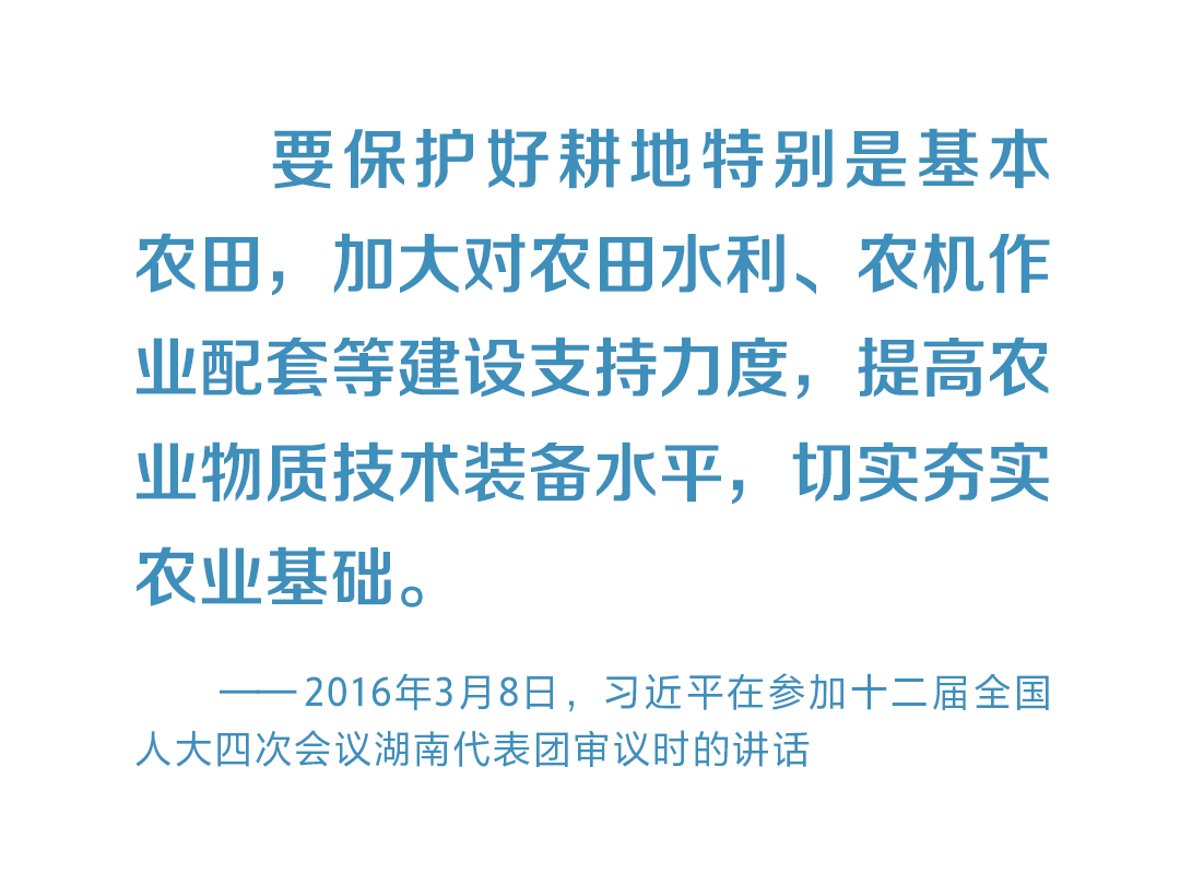 时习之全方位夯实粮食安全根基 习近平强调切实加强耕地保护