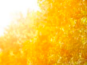 【光明论坛】深刻把握“两创”的中华文化立场