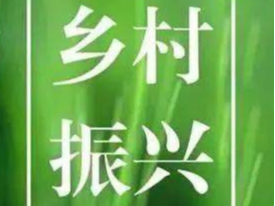 县委编办：乡村振兴在行动 入户走访暖人心